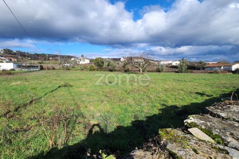 Helårsgrund i Sabrosa, Vila Real, Sabrosa - € 199.000 | Ref: ZMPT584963 - foto 4