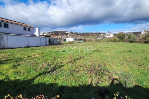 Helårsgrund i Sabrosa, Vila Real, Sabrosa - € 199.000 | Ref: ZMPT584963 - foto 6