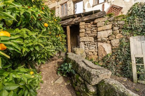 Villa a Belmonte, Castelo Branco, Belmonte - € 23.000 | Ref: 111260035 - foto 7