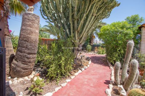 Landejendom i Albatera, Alicante, Albatera - € 415.000 | Ref: Alba CB - foto 30