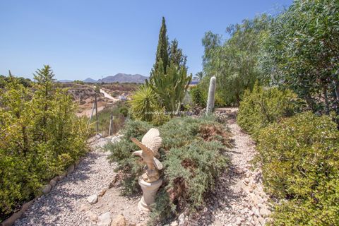 Landejendom i Albatera, Alicante, Albatera - € 415.000 | Ref: Alba CB - foto 39