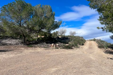 Finca i Torremendo, Alicante, Torremendo - € 175.000 | Ref: MCO-54949 - foto 3
