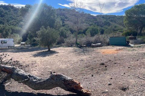 Finca i Torremendo, Alicante, Torremendo - € 175.000 | Ref: MCO-54949 - foto 6