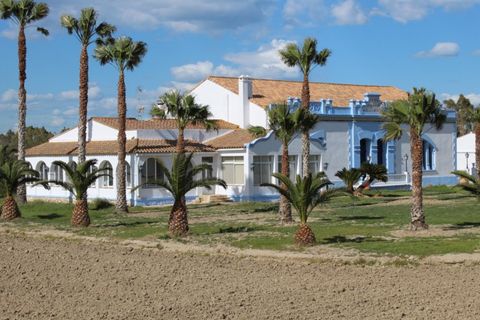 Villa i Deltebre, Tarragona, Deltebre - € 2.500.000 | Ref: 3587FZ/6931 - foto 4