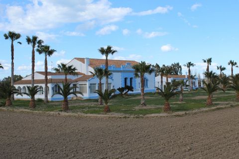 Villa i Deltebre, Tarragona, Deltebre - € 2.500.000 | Ref: 3587FZ/6931 - foto 5
