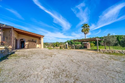 Finca i Arta, Mallorca, Arta - € 2.400.000 | Ref: FALC-Nep-61681 - foto 31