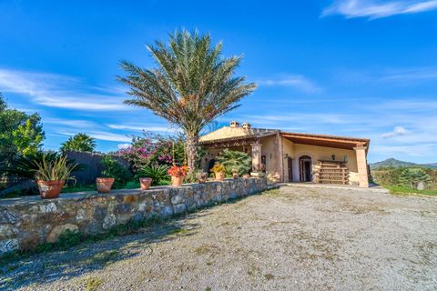 Finca i Arta, Mallorca, Arta - € 2.400.000 | Ref: FALC-Nep-61681 - foto 32