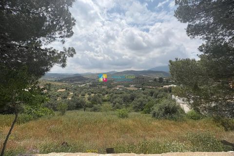 Landejendom i Velez-Rubio, Almeria, Velez-Rubio - € 129.000 | Ref: 2747 - foto 39