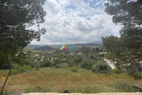 Landejendom i Velez-Rubio, Almeria, Velez-Rubio - € 129.000 | Ref: 2747 - foto 43
