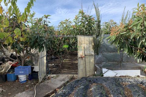 Villa i Torrox, Malaga, Torrox - € 370.000 | Ref: 7984 - foto 21