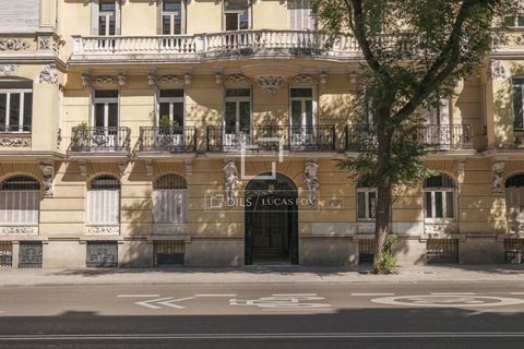 Lejlighed i Madrid, Madrid, Madrid - € 4.200.000 | Ref: MAD66053 - foto 23
