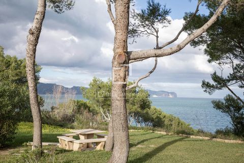 Villa a Alcudia, Mallorca, Alcudia - € 7.500.000 | Ref: MAL65983 - foto 22