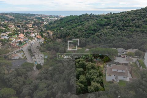 Terra a Alella, Barcelona, Alella - € 260.000 | Ref: MRS66343 - foto 7