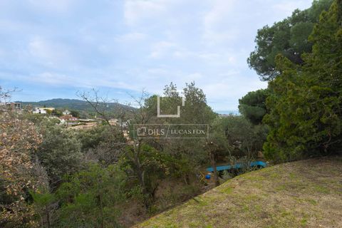 Terra a Alella, Barcelona, Alella - € 260.000 | Ref: MRS66343 - foto 8