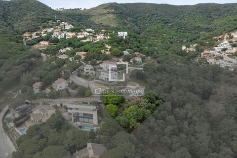 Terra a Alella, Barcelona, Alella - € 260.000 | Ref: MRS66343 - foto 10
