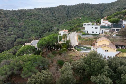 Terra a Alella, Barcelona, Alella - € 260.000 | Ref: MRS66343 - foto 12