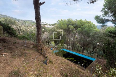 Terra a Alella, Barcelona, Alella - € 260.000 | Ref: MRS66343 - foto 13