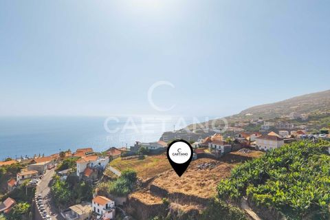 Helårsgrund i Calheta, Madeira, Calheta - € 450.000 | Ref: 1662 - foto 3