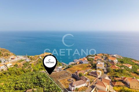 Helårsgrund i Calheta, Madeira, Calheta - € 450.000 | Ref: 1662 - foto 9