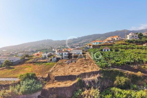 Helårsgrund i Calheta, Madeira, Calheta - € 450.000 | Ref: 1662 - foto 14