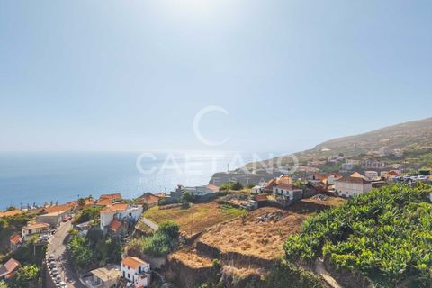 Helårsgrund i Calheta, Madeira, Calheta - € 450.000 | Ref: 1662 - foto 15