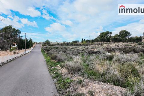 Finca i Mutxamel, Alicante, Mutxamel - € 65.000 | Ref: 5465 - foto 5