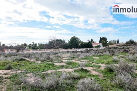 Finca i Mutxamel, Alicante, Mutxamel - € 65.000 | Ref: 5465 - foto 9