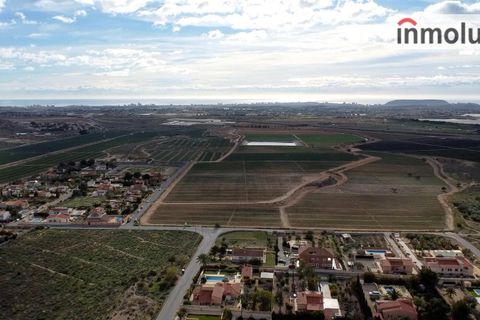 Finca i Mutxamel, Alicante, Mutxamel - € 65.000 | Ref: 5465 - foto 14
