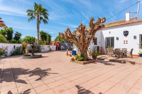 Villa i Daya Nueva, Alicante, Daya Nueva - € 595.000 | Ref: P8651 - foto 7