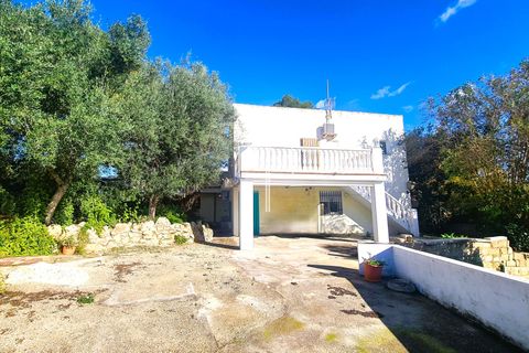 Villa i Alberic, Valencia - foto 4
