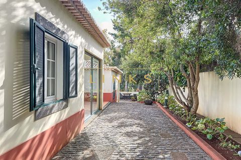 Farm hus i Ponta do Sol, Madeira, Ponta do Sol - € 880.000 | Ref: LH-317-2023 - foto 17