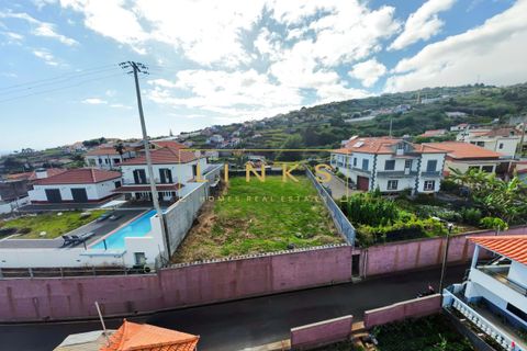 Helårsgrund i Ponta do Sol, Madeira, Ponta do Sol - € 97.500 | Ref: LH-501-2024 - foto 13
