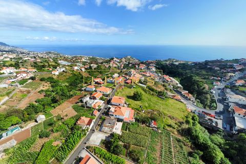 Helårsgrund i Ponta do Sol, Madeira, Ponta do Sol - € 97.500 | Ref: LH-501-2024 - foto 17