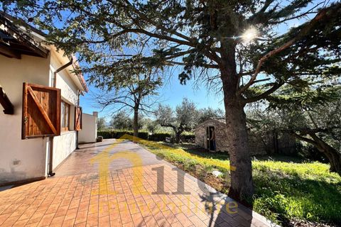 Villa a Moscufo, Pescara, Moscufo - € 195.000 | Ref: 799 - foto 4