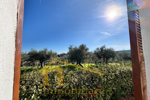 Villa a Moscufo, Pescara, Moscufo - € 195.000 | Ref: 799 - foto 26