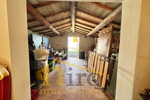 Villa a Moscufo, Pescara, Moscufo - € 195.000 | Ref: 799 - foto 37
