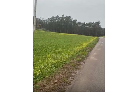 Helårsgrund i Ovar, Aveiro, Ovar - € 65.000 | Ref: VG-140 - foto 5