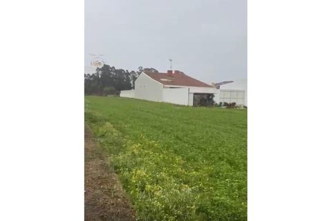 Helårsgrund i Ovar, Aveiro, Ovar - € 65.000 | Ref: VG-140 - foto 7