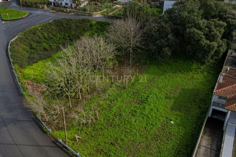 Helårsgrund i Barroselas, Viana do Castelo, Barroselas - € 89.000 | Ref: C0256-03406 - foto 15