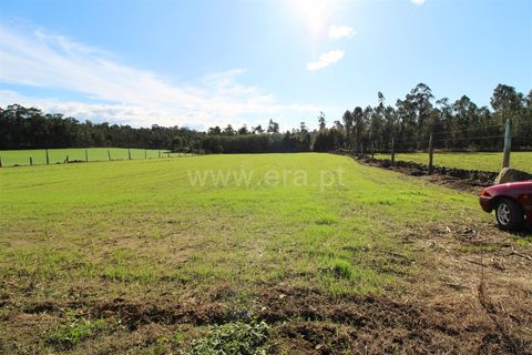 Helårsgrund i Barcelos, Braga, Barcelos - € 88.500 | Ref: 254250320 - foto 3