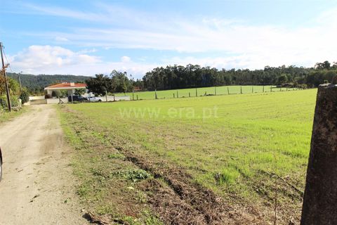 Helårsgrund i Barcelos, Braga, Barcelos - € 88.500 | Ref: 254250320 - foto 4