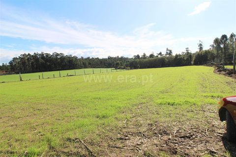 Helårsgrund i Barcelos, Braga, Barcelos - € 88.500 | Ref: 254250320 - foto 5