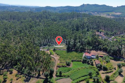 Helårsgrund i Ponte de Lima, Viana do Castelo, Ponte de Lima - € 45.000 | Ref: 254250260 - foto 1