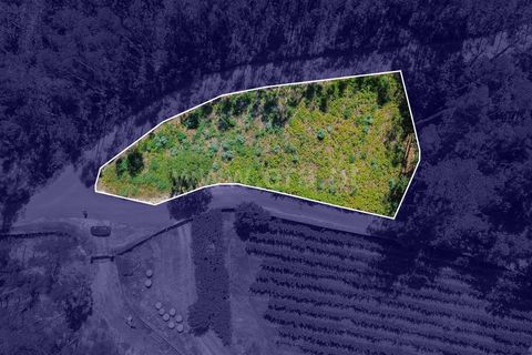 Helårsgrund i Ponte de Lima, Viana do Castelo, Ponte de Lima - € 45.000 | Ref: 254250260 - foto 2