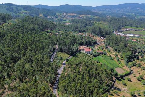 Helårsgrund i Ponte de Lima, Viana do Castelo, Ponte de Lima - € 45.000 | Ref: 254250260 - foto 3