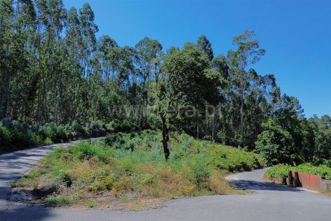 Helårsgrund i Ponte de Lima, Viana do Castelo, Ponte de Lima - € 45.000 | Ref: 254250260 - foto 4