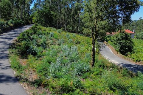 Helårsgrund i Ponte de Lima, Viana do Castelo, Ponte de Lima - € 45.000 | Ref: 254250260 - foto 6