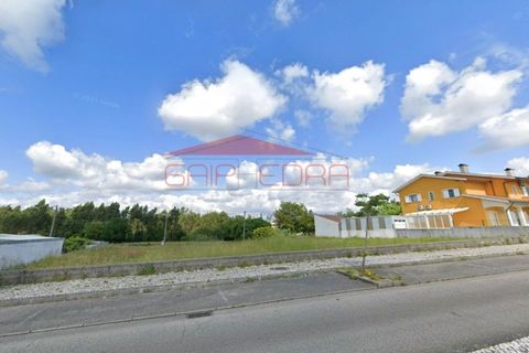Helårsgrund i Oia, Aveiro, Oia - € 40.800 | Ref: AV846 - foto 5