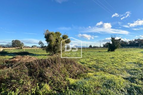 Helårsgrund i Valenca, Viana do Castelo, Valenca - € 49.000 | Ref: DSIMONC683 - foto 4