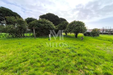 Granja a Darque, Viana do Castelo, Darque - € 425.000 | Ref: D412 - foto 3